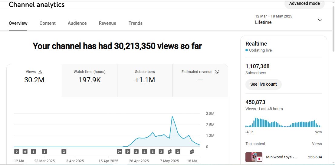 ✅ 1.1M Subscribers Channel | ✅ 30M Lifetime Views | Nrs Rimon 0.0