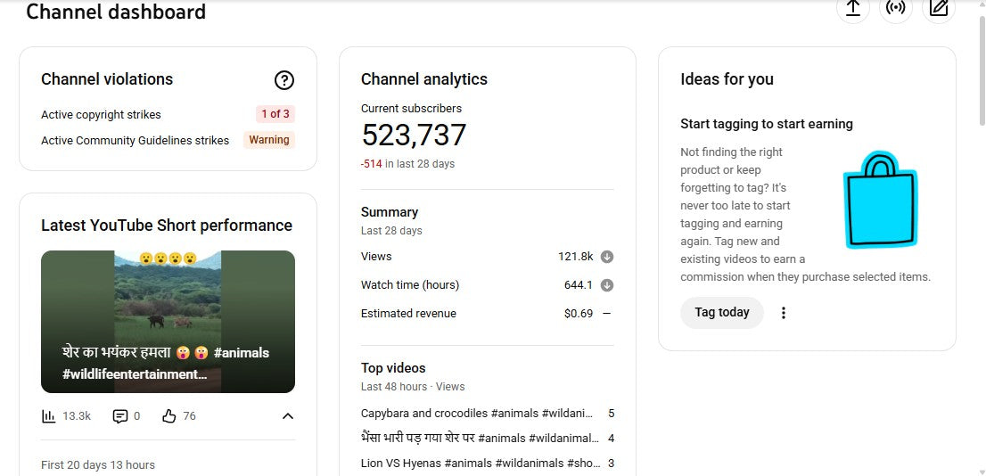 Monetization : Yes ✅ | ✅ 523K+ Subscribers | ✅ 384M+ Lifetime Views | LB Explore