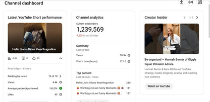 ✅ USA Audiance | ✅ 1.23M+ Subscribers | ✅ 1.3Bn+ Lifetime Views | Coldesteditz USA
