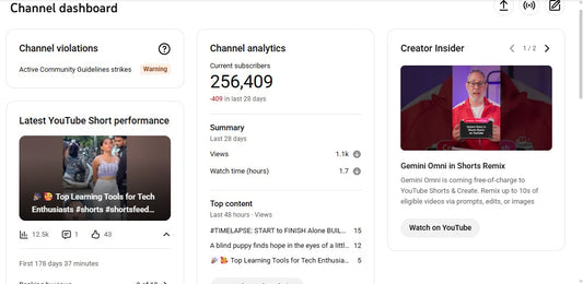 ✅ 256K+ Subscribers | ✅ 342M+ Lifetime Views | Govind vlogs