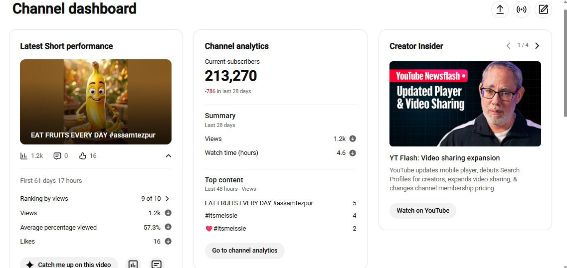 ✅ 213K+ Subscribers | ✅ 17M+ Lifetime Views | 1M Factt Cartoon