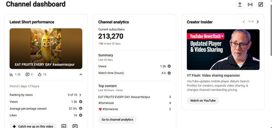 ✅ 213K+ Subscribers | ✅ 17M+ Lifetime Views | 1M Factt Cartoon
