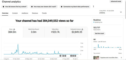 Monetization : Yes ✅ | ✅ 523K+ Subscribers | ✅ 384M+ Lifetime Views | LB Explore