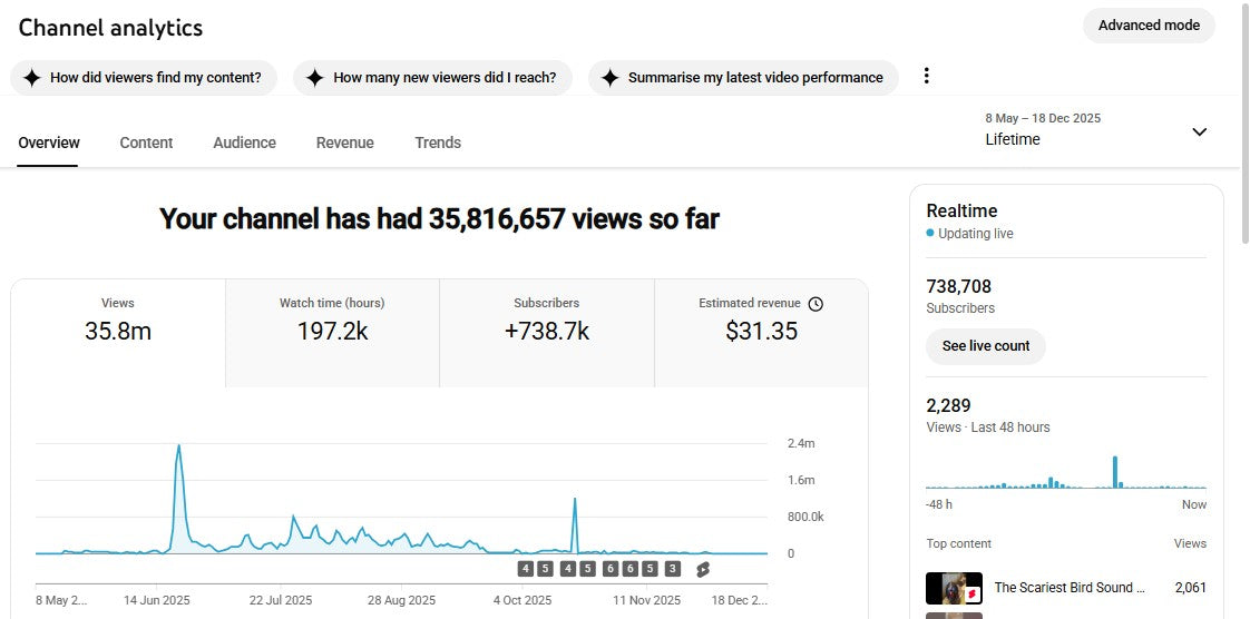 Monetization : Yes ✅ | ✅ 738K+ Subscribers | ✅ 35M+ Lifetime Views | lulu explain