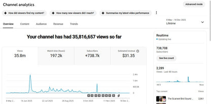 Monetization : Yes ✅ | ✅ 738K+ Subscribers | ✅ 35M+ Lifetime Views | lulu explain