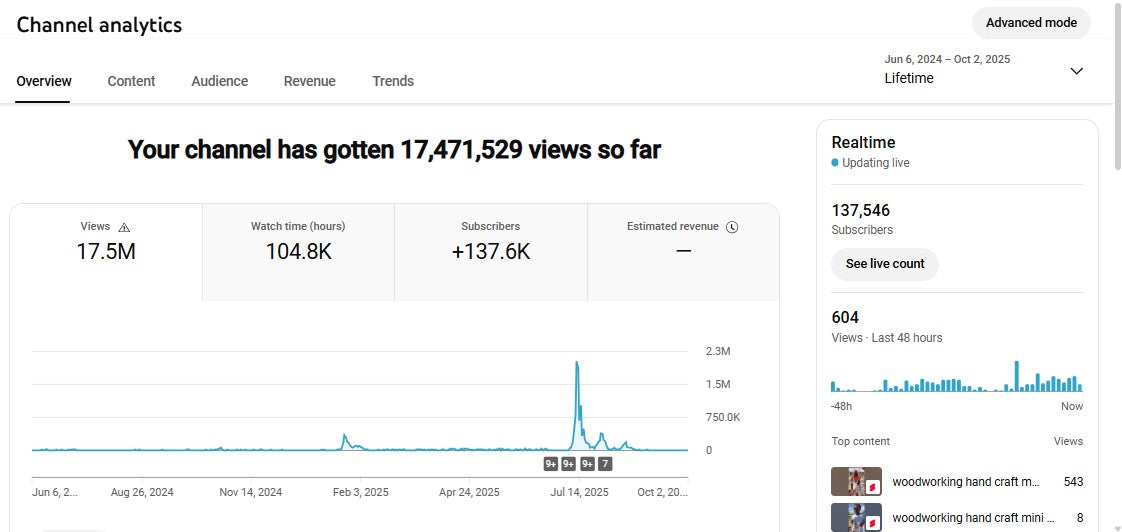 ✅ 137K+ Subscribers | ✅ 17M+ Lifetime Views | Fact vines