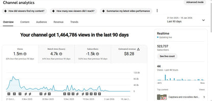 Monetization : Yes ✅ | ✅ 523K+ Subscribers | ✅ 384M+ Lifetime Views | LB Explore
