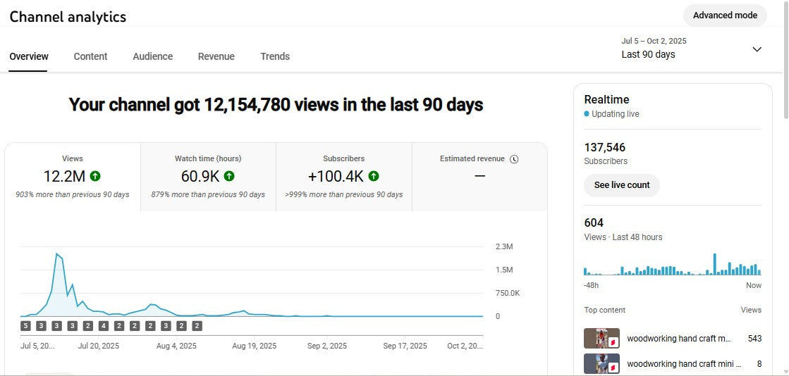 ✅ 137K+ Subscribers | ✅ 17M+ Lifetime Views | Fact vines